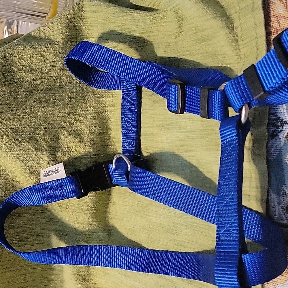 Dog Collar - Picture 2 of 6